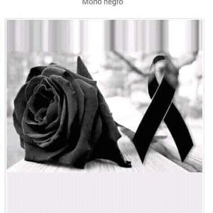 Meet your Posher, Sofia